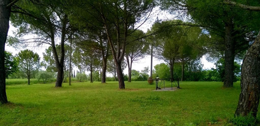 Marciano della Chiana Agriturismo Podere Caggiolo - Swimming Pool & Air Conditioning מראה חיצוני תמונה