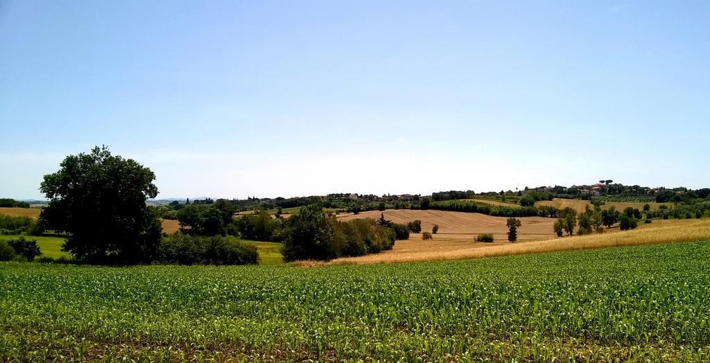 Marciano della Chiana Agriturismo Podere Caggiolo - Swimming Pool & Air Conditioning מראה חיצוני תמונה