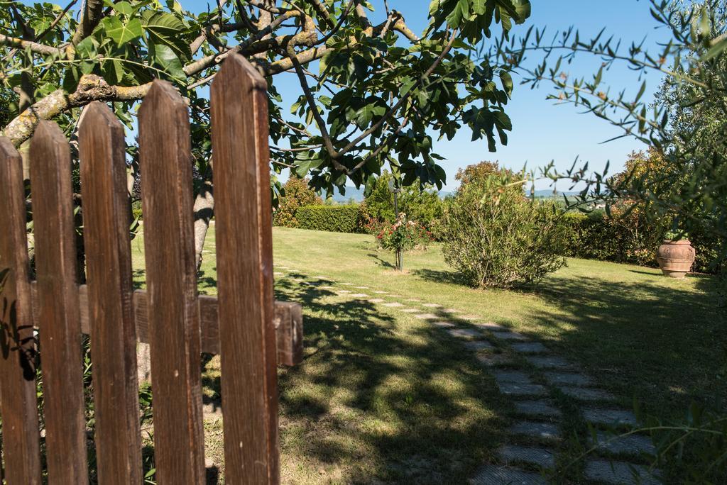 Marciano della Chiana Agriturismo Podere Caggiolo - Swimming Pool & Air Conditioning מראה חיצוני תמונה